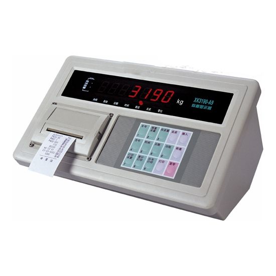 耀華XK3190-A9P模擬稱重儀表