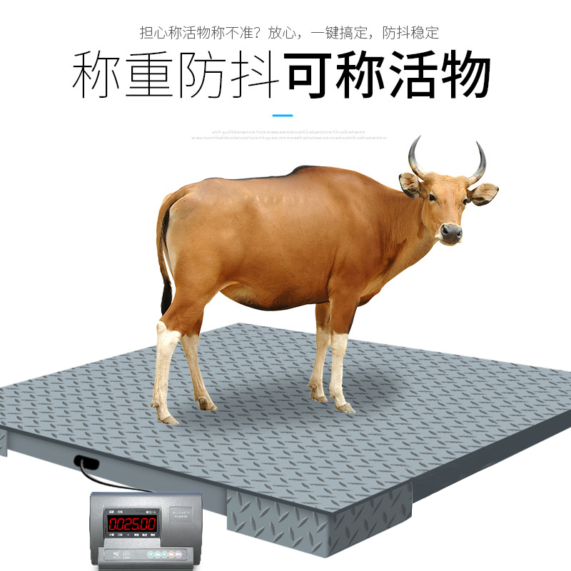 3~5噸養(yǎng)殖動(dòng)物秤/牛羊不銹鋼動(dòng)物稱